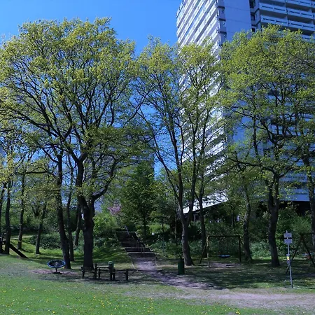 Panoramic App A15-1 *