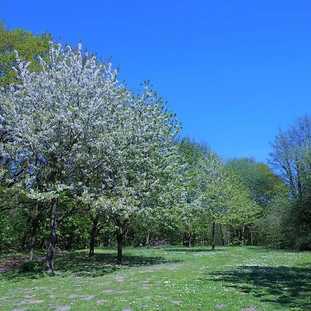 Appartamento Panoramic App A15-1
