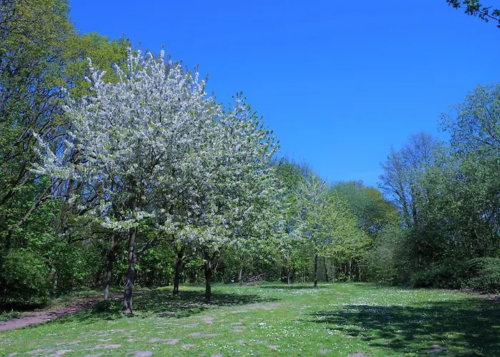 Apartamento Panoramic App A15-1